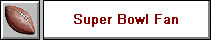 Super Bowl Fan
