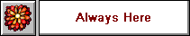 Always Here