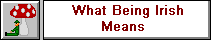 What Being Irish Means