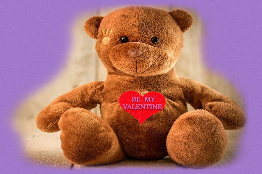 Beary Happy Valentines Day