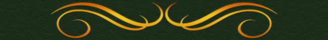 div